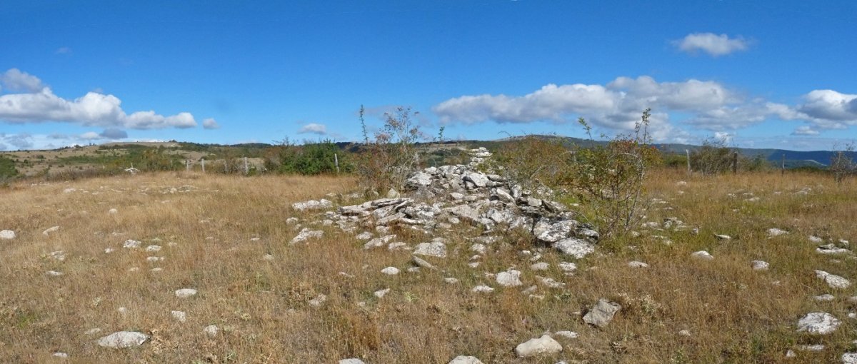 Mendiburuko gailurra