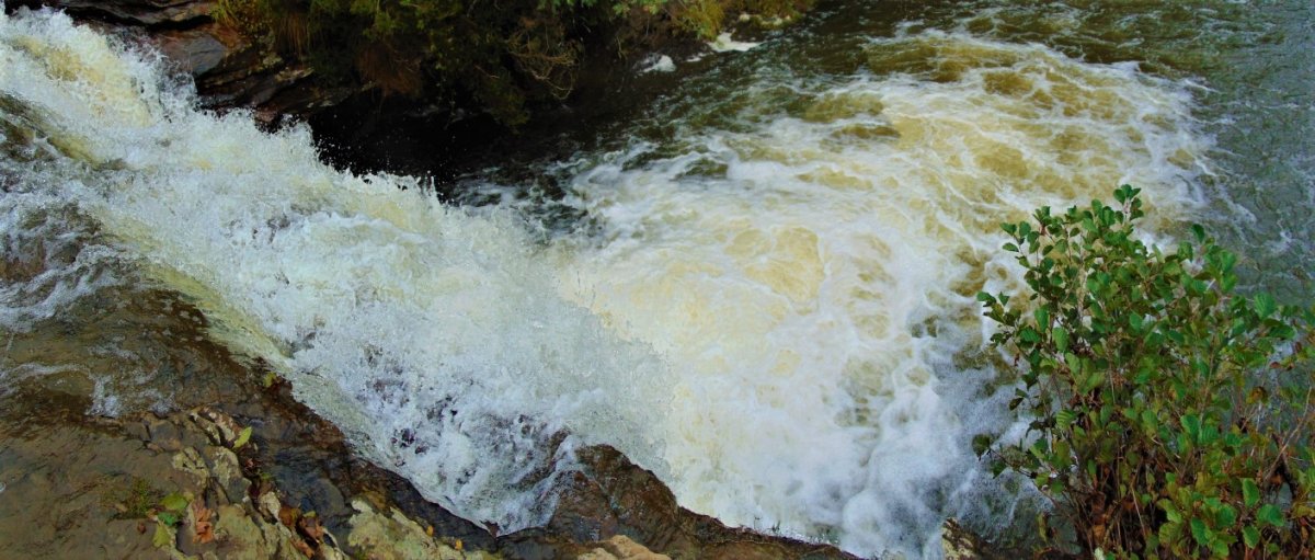 Zaldibartxo Ur Jauzia