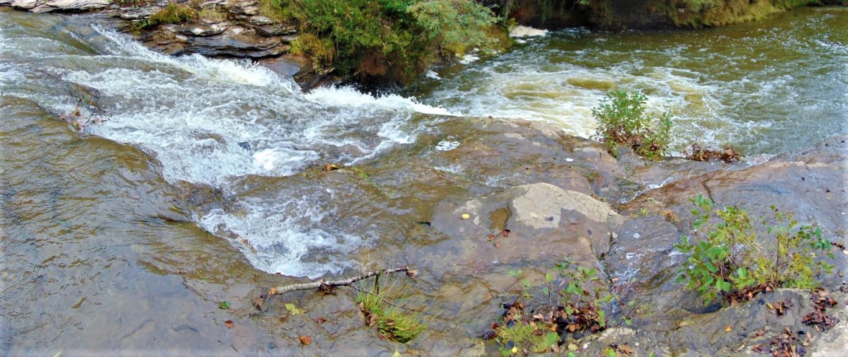 Zaldibartxo Ur Jauzia