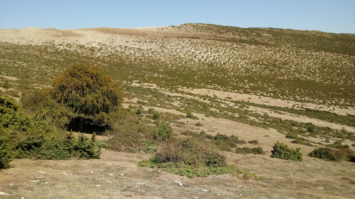 Idoitxiki (1272m) Ollarango sakanetik