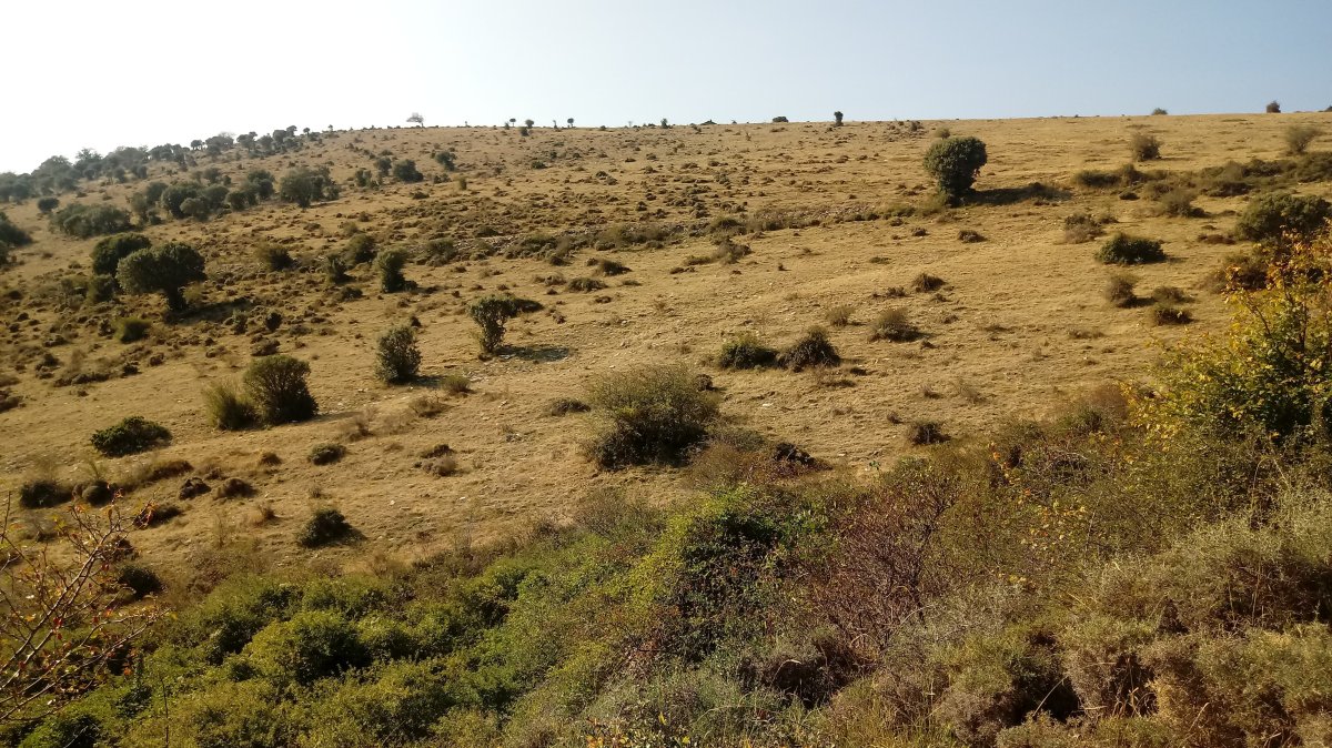 Txargain (972m) iparreko magala