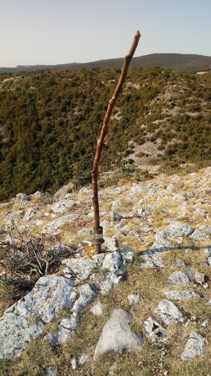 Txargain (972m) tontorra eta postontzia