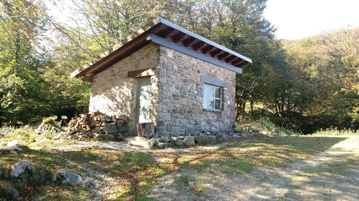 Artzain borda Ireber ondoko lepoan