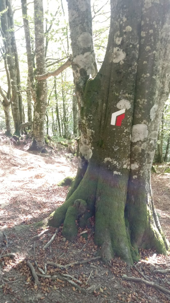 GR12 markak Otsola aldera