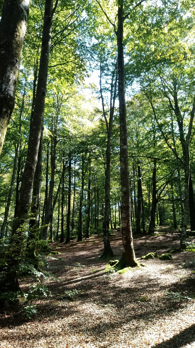 Begaña (1104m) igoera pagadian gora