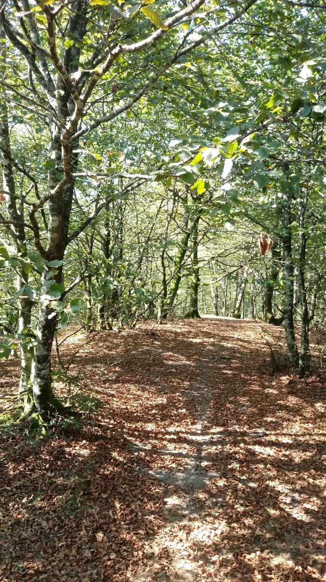 Irumugarrieta (1044m) gainaldea