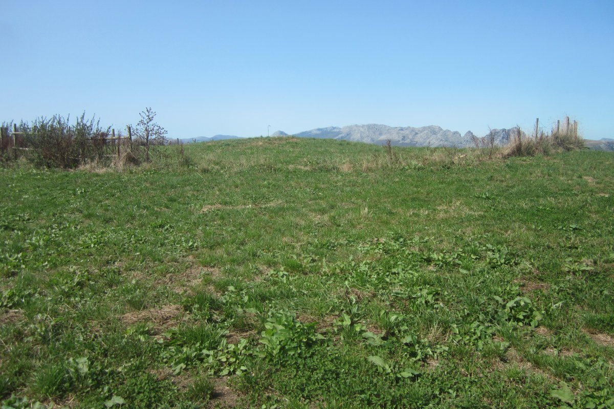 Túmulo Fuentellano I (T. Llano de la Cerroja) (Septiembre 2020)