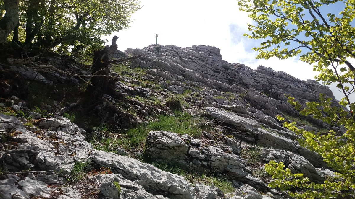 Linategieta (1206m) tontorra