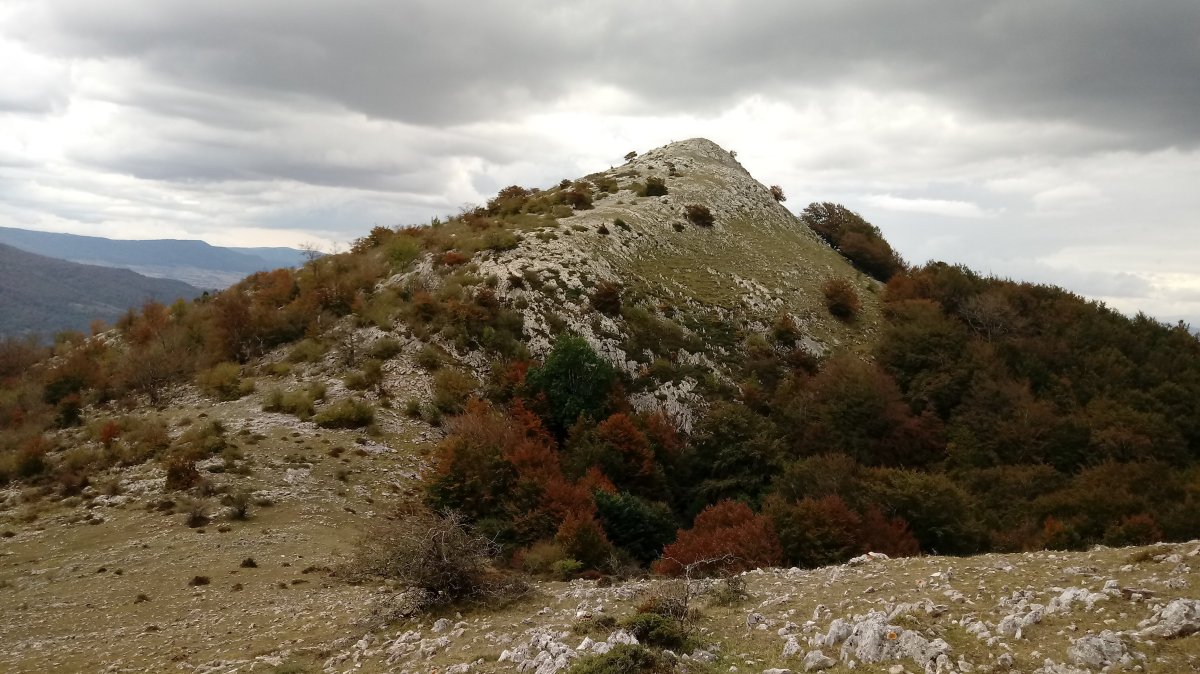 Olanoko Haitzandia (1083m) mendia