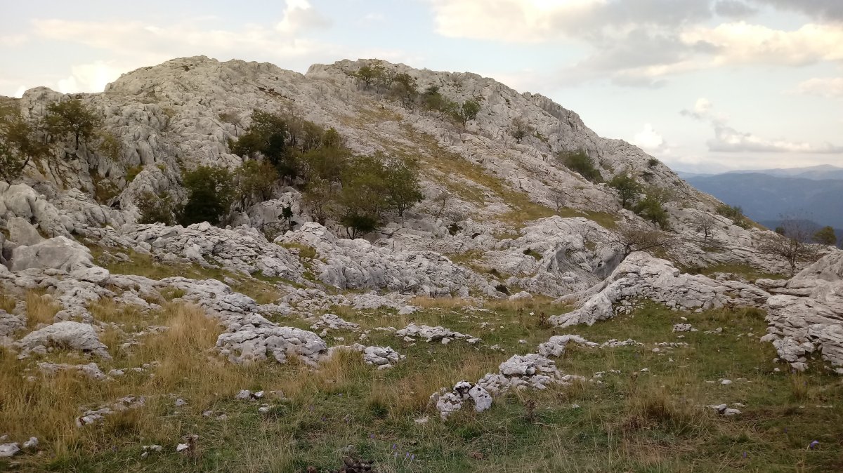 Zaraialaburu (1119m) mendia hegoaldetik