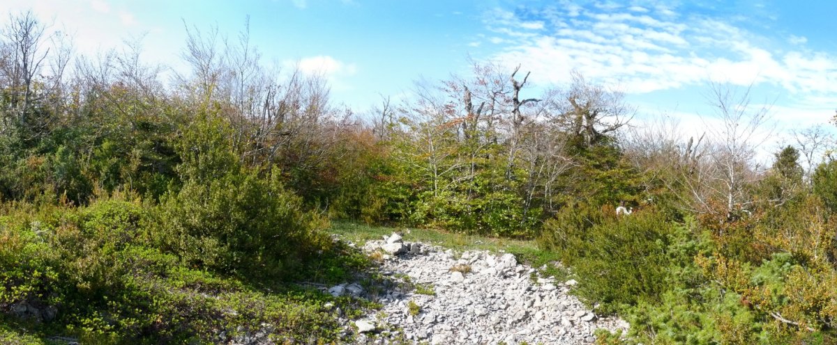 Olataguasko gailurra