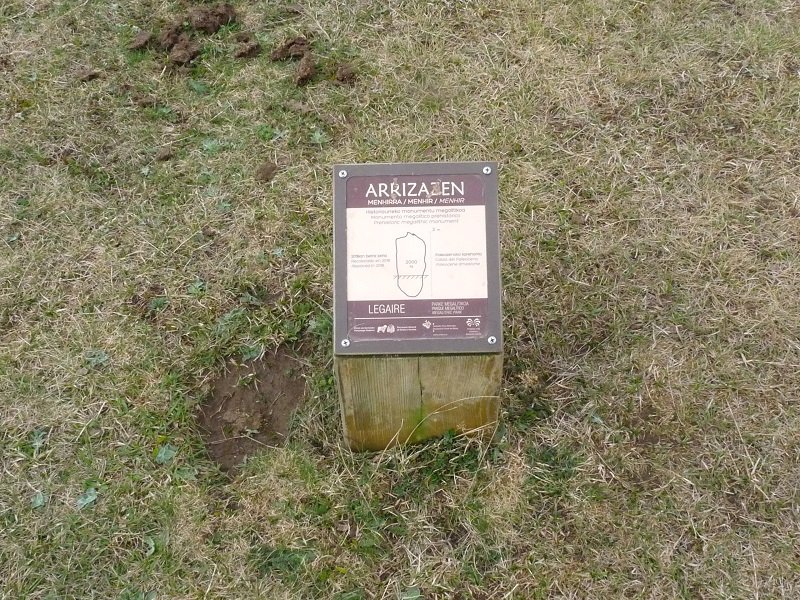 Arrizazengo adierazgarria