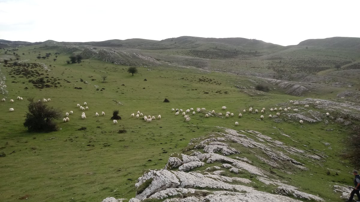 Dorroteka (1176m) Lizarraga aldetik