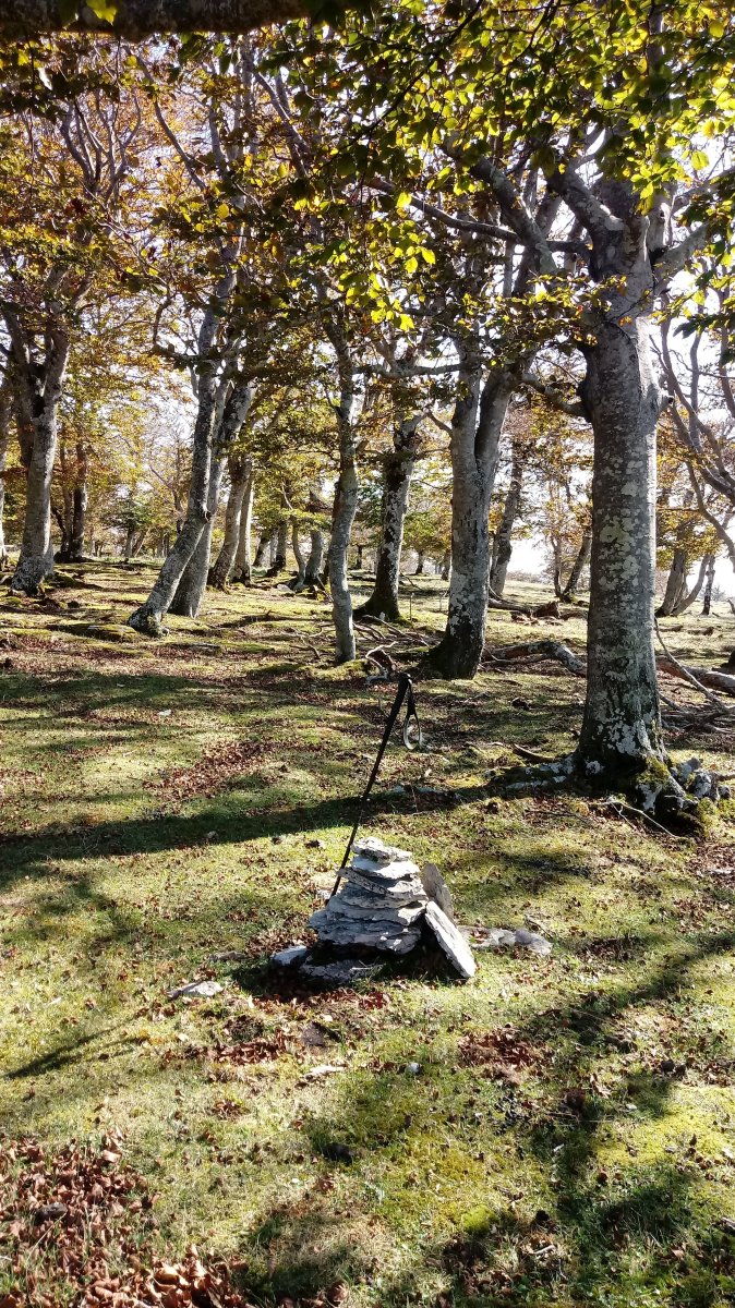 Zurlotz (1224m) tontorra