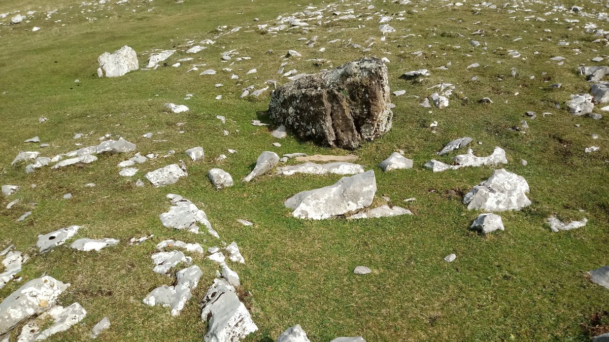 Ganboa Txiki I trikuharria