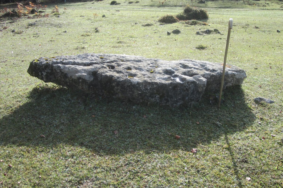 Monolito Raso de Lezana  (Octubre 2020)