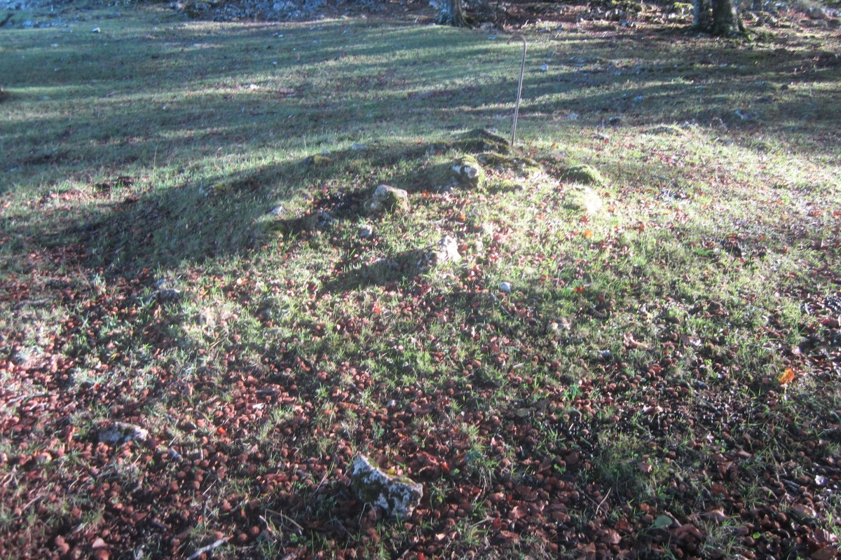 Túmulo Txumartegi IV oeste (Octubre 2020)