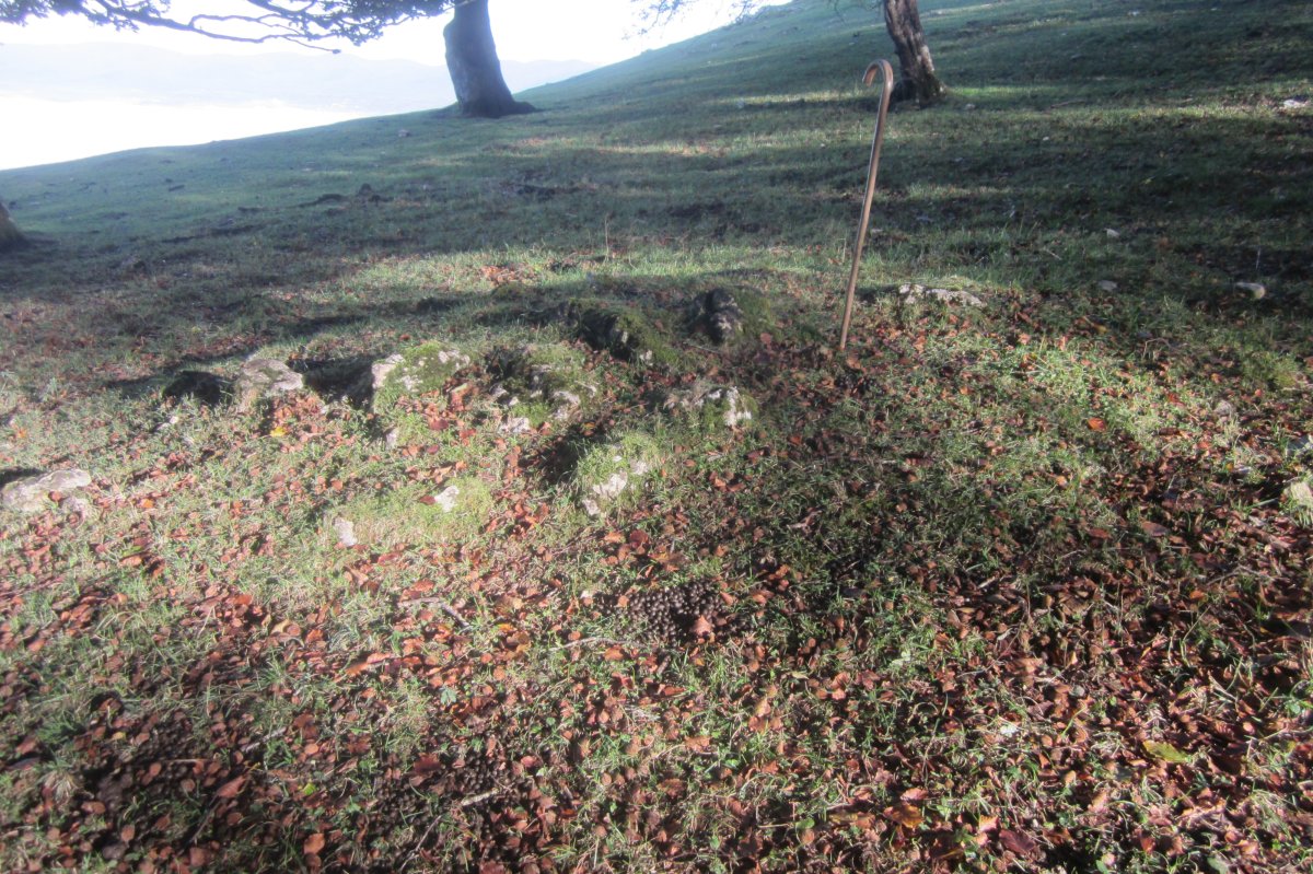 Túmulo Txumartegi IV oeste  (Octubre 2020)