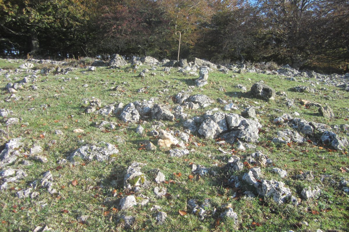 Dólmen Txumartegi III sur  (Octubre 2020)