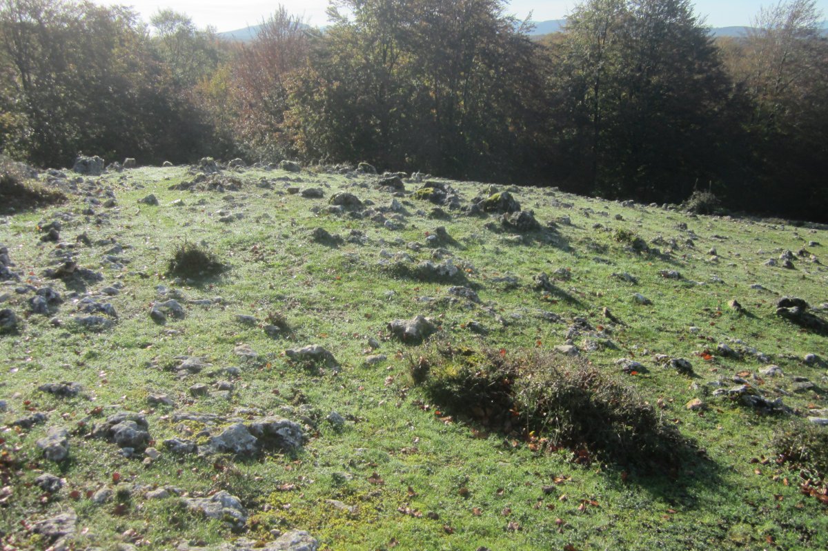 Dólmen Txumartegi III sur  (Octubre 2020)