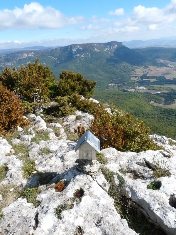 Ibiringo txartelontzia