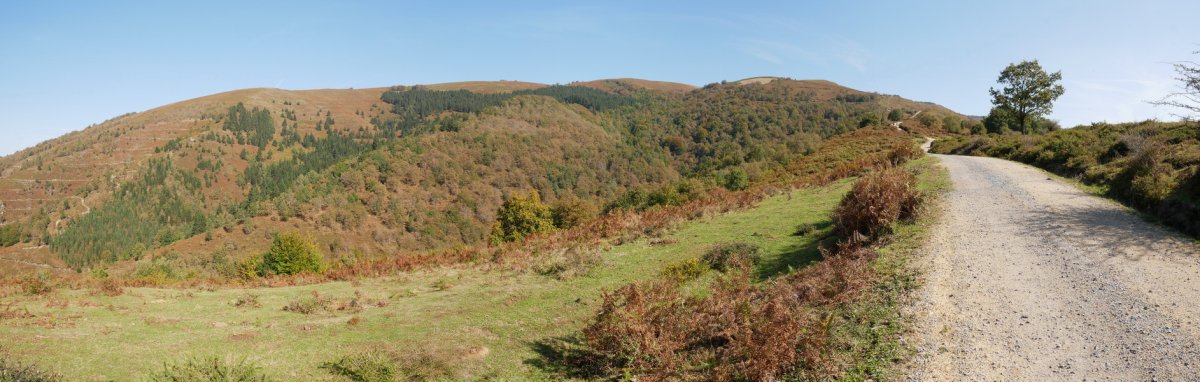 Pagotxikieta ingurutik ikuspegi zabala