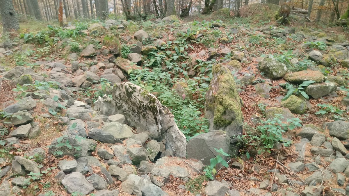 Agerreburu trikuharria