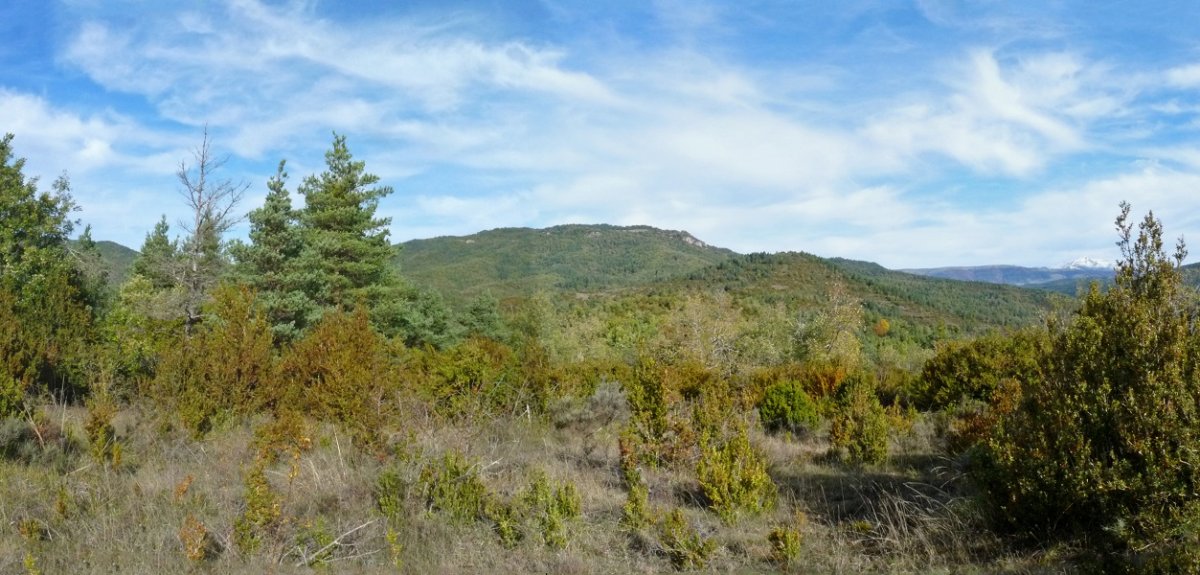 Mendi gainaldea. Beiegu eta Santa Engrazia, urrunean