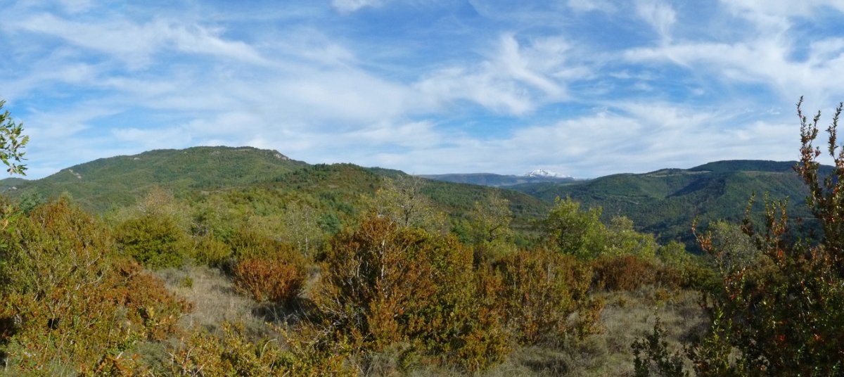 Gailurraren inguruak