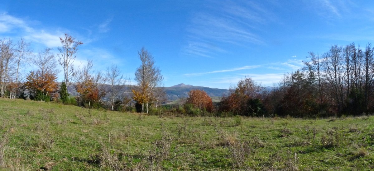 Irungazteluko gailurra