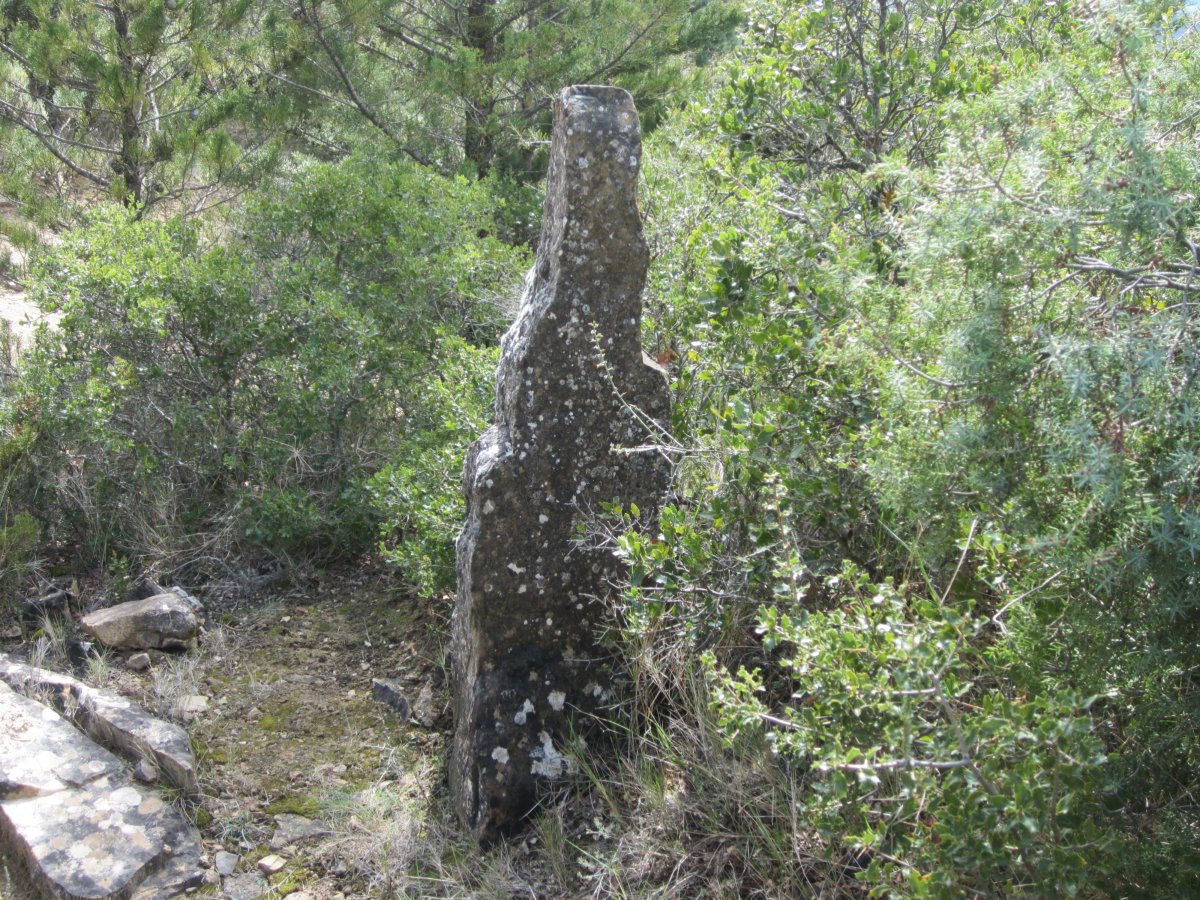 Monolito La Mina  (Marzo 2015)