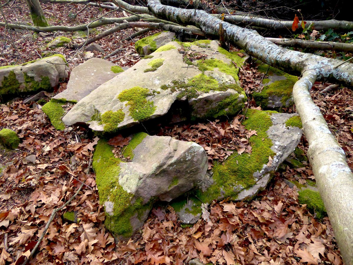 Dólmen Bistarri (Foto I. Gaztelu) Noviembre 2020