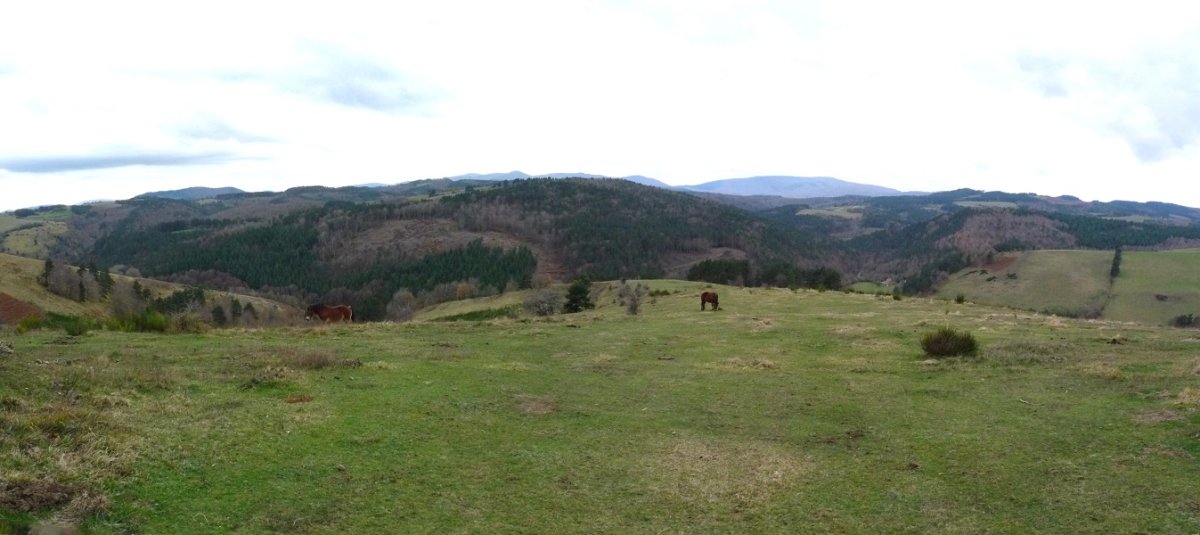 Panorama hegoaldeko hegitik