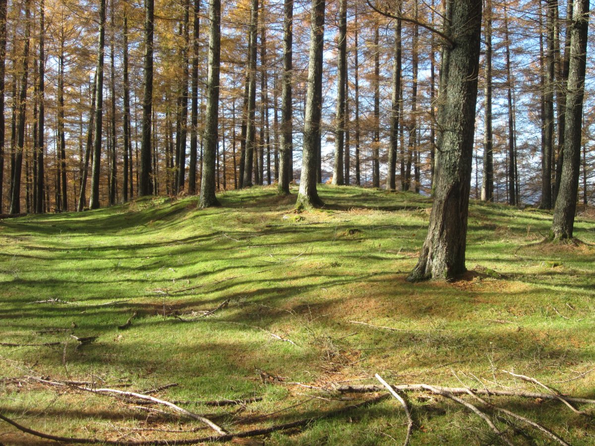 Túmulo Biribilleta  (Noviembre 2016)