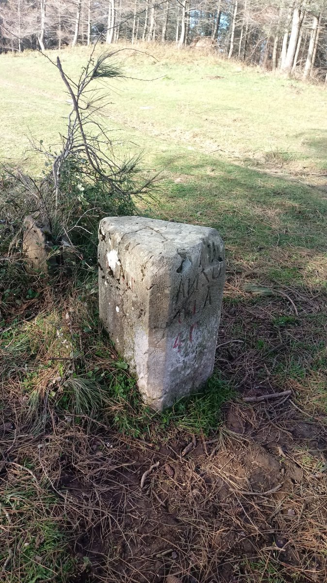 Bergara-Antzuola-Oñati mugarria