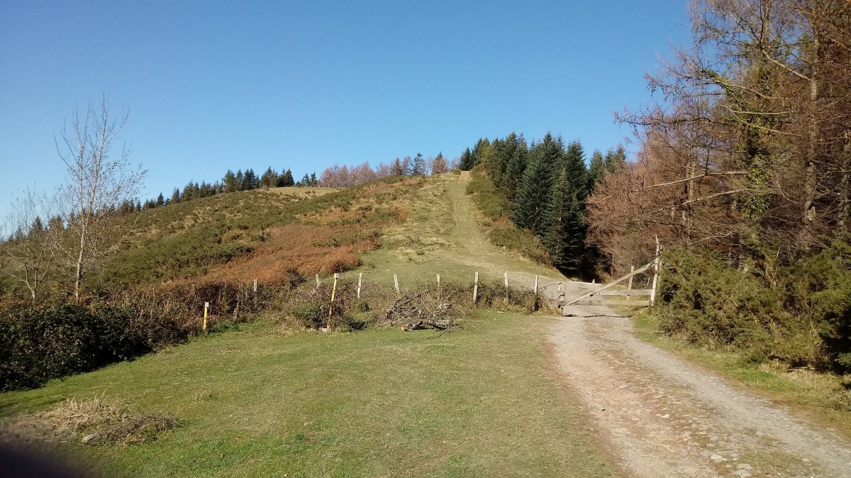 Landarraitz (828m) azken metroak ekialdetik