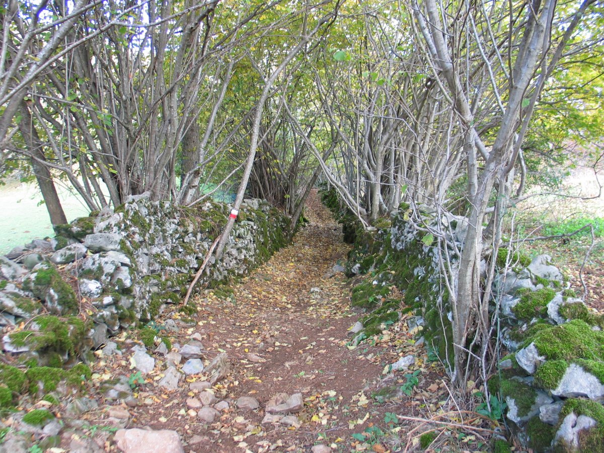 Urritzez estalitako pasabidea