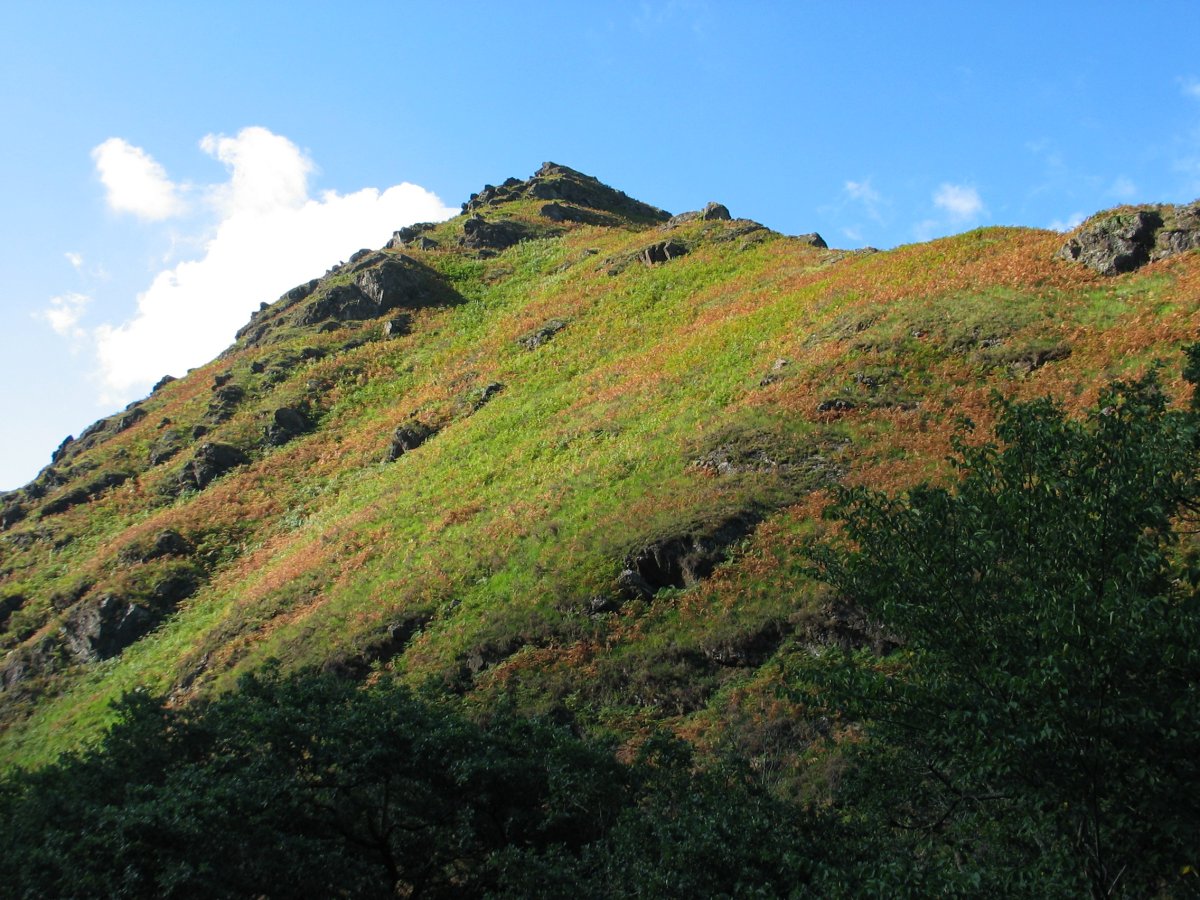 Zuziniateko zintzurretik, errepidetik ikusita