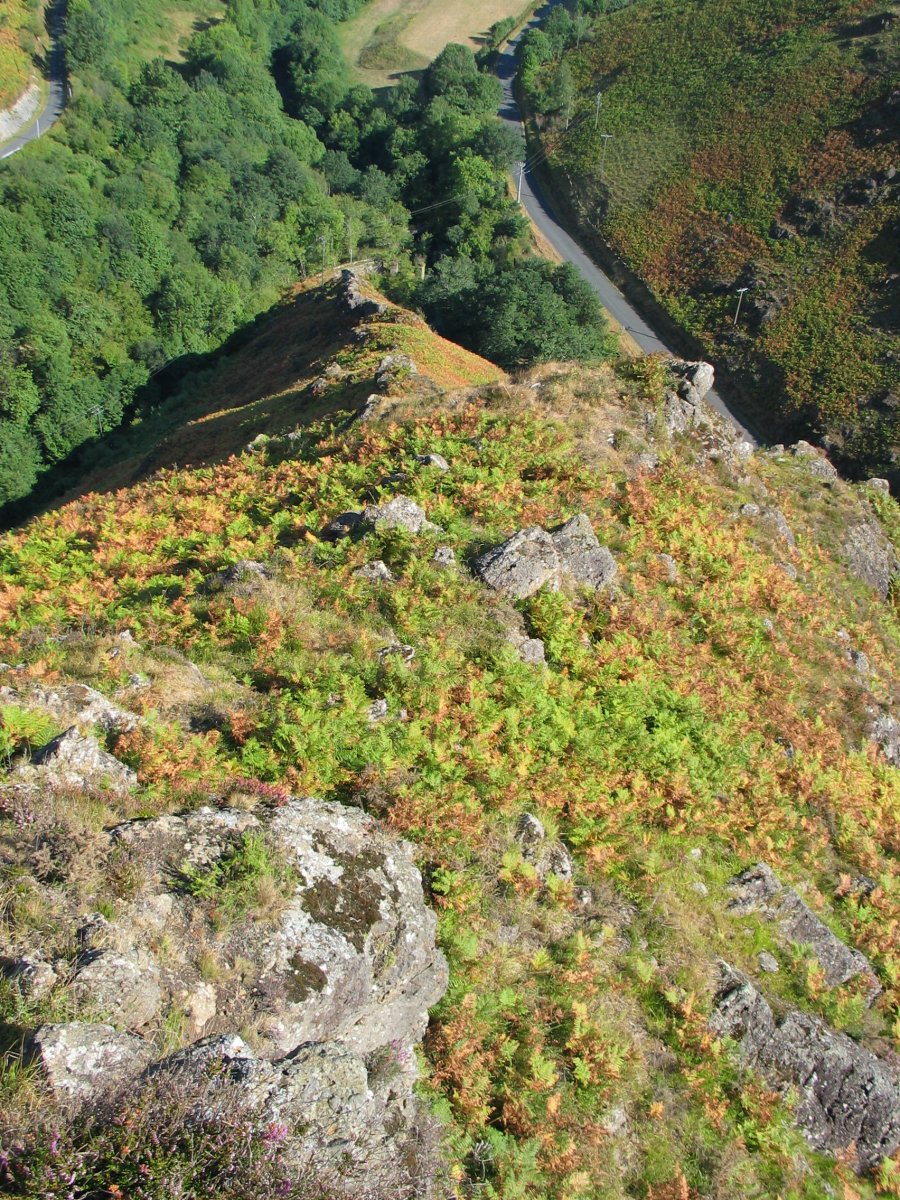 Hartxahaleko gandorra: lehenengo aldapa goitik ikusita