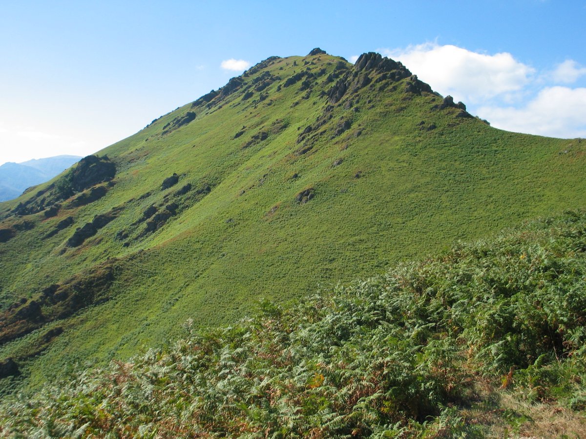 IEko isurialdea Hartxahaleko gandorretik