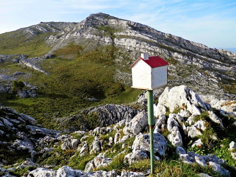 Buzoia. Atzean, Aratz