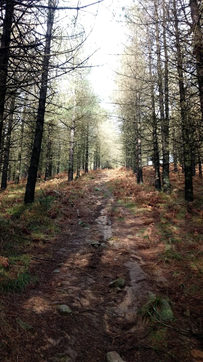Otaño (829m) azken aldapa