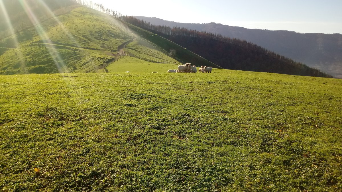 Lizundia (507m) tontorra
