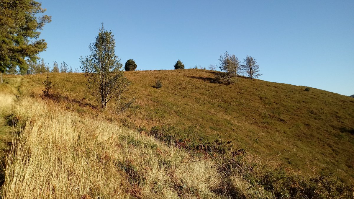 Urnobieta (644m) mendia