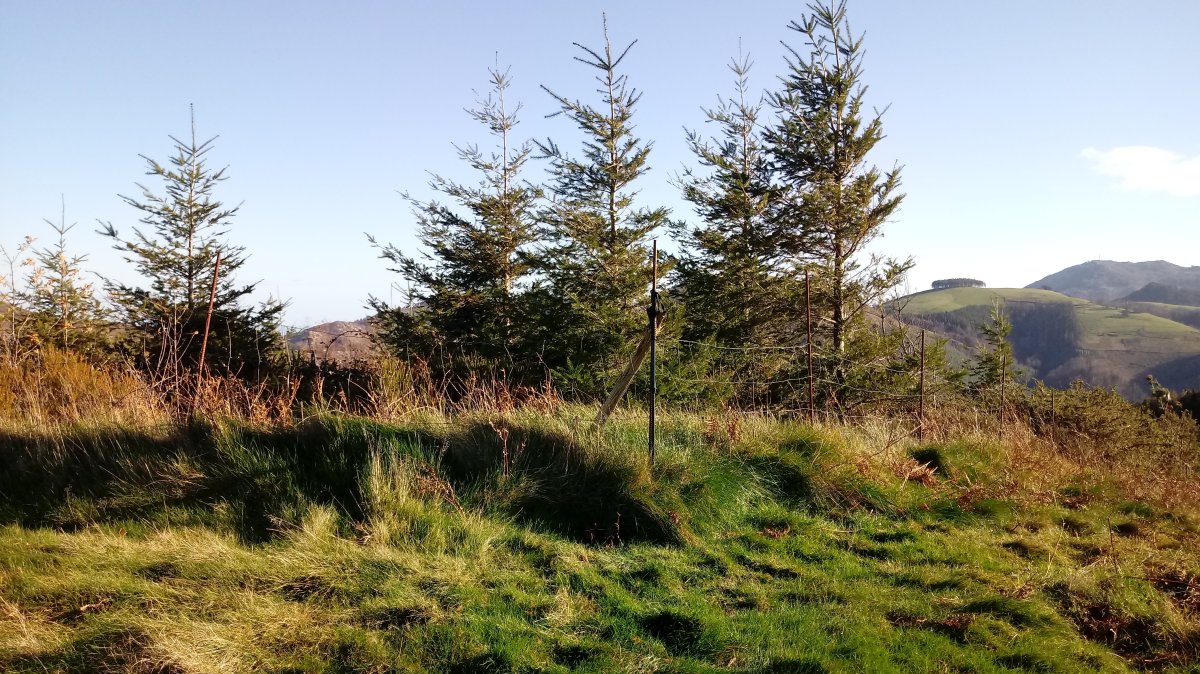 Urnobieta (644m) tontorra