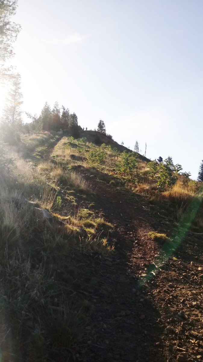 Azkarate (664m) azken aldapa