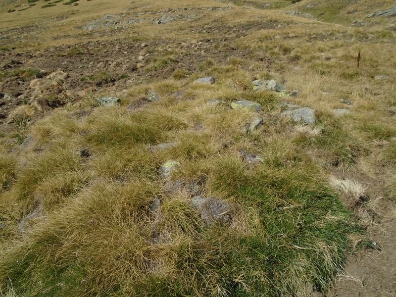 cantal de la balsera