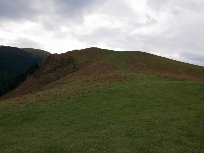 Gongeda iparraldetik ikusita