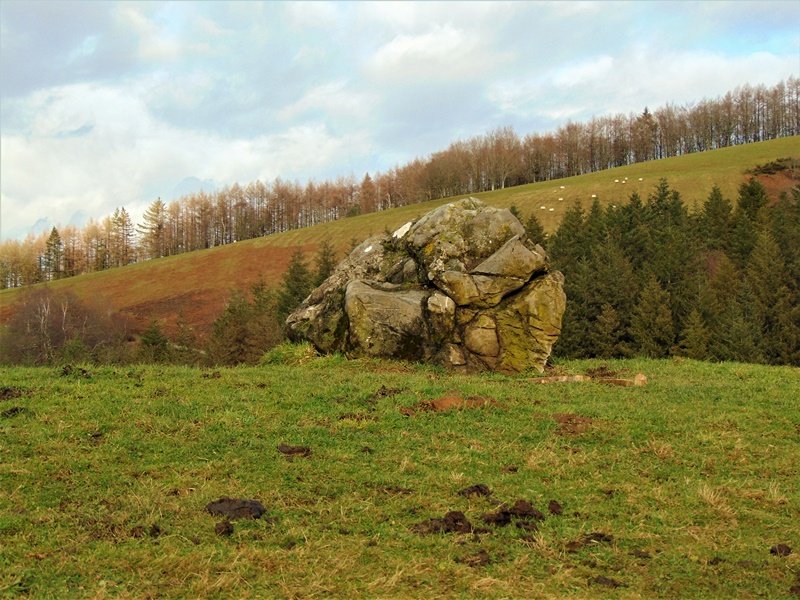 Larrarte Trikuharria