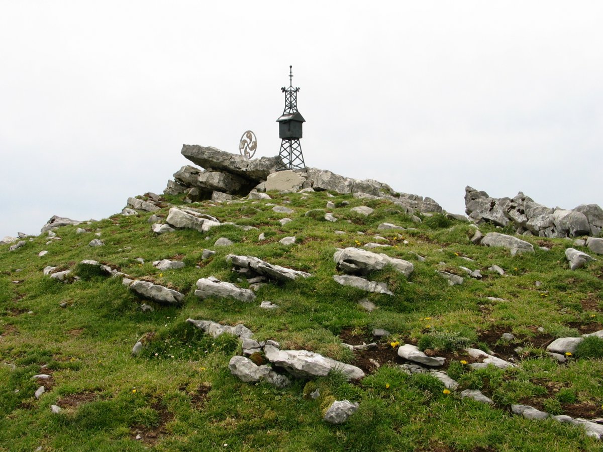 Txorrotxeta tontorra